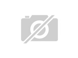 Suche Heckspoiler/-flügel für Corolla Liftback E11U